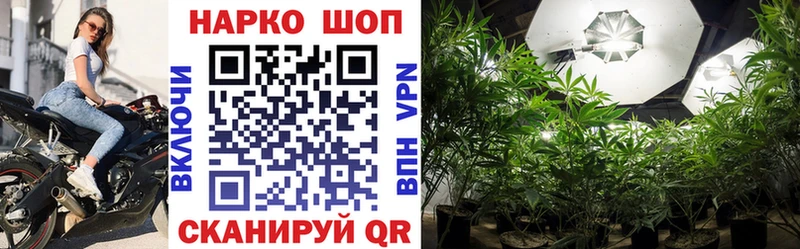 Где купить наркоту Малая Вишера Alpha-PVP Конопля COCAIN Мефедрон Гашиш