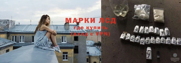 прущие грибы Нягань