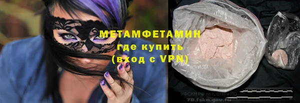 прущие грибы Нягань