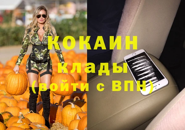 шишки Валдай
