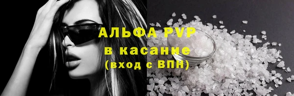 молекула духа Няндома