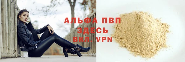 прущие грибы Нягань