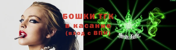 прущие грибы Нягань