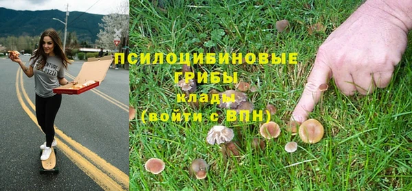 трава Новозыбков