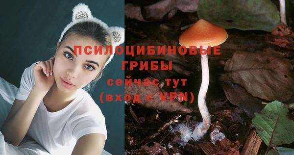 2c-b Новодвинск