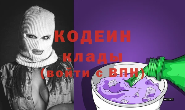 молекула духа Няндома
